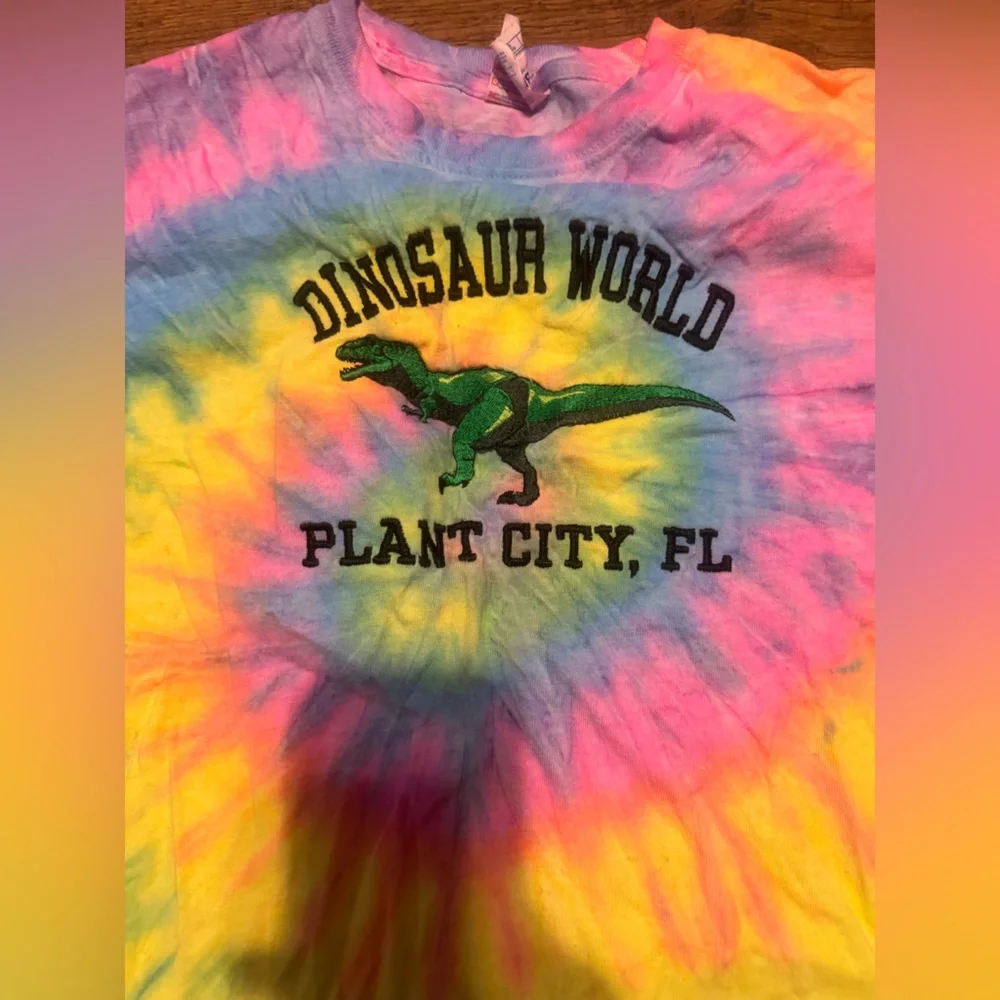 Child’s tie dye dinosaur world embroidered tee 6/8 NEW